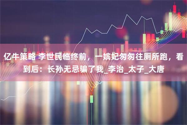 亿牛策略 李世民临终前，一嫔妃匆匆往厕所跑，看到后：长孙无忌骗了我_李治_太子_大唐