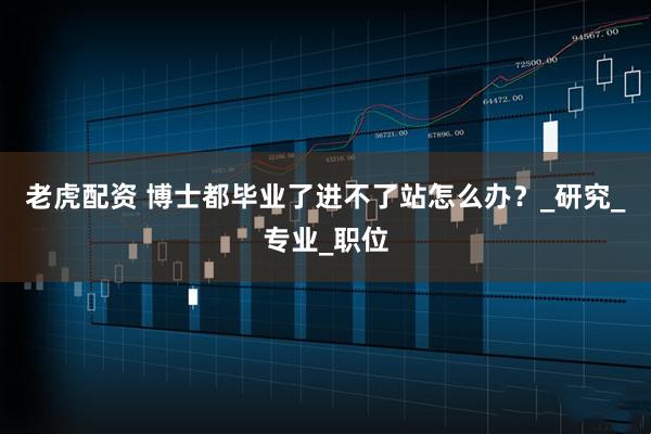 老虎配资 博士都毕业了进不了站怎么办？_研究_专业_职位