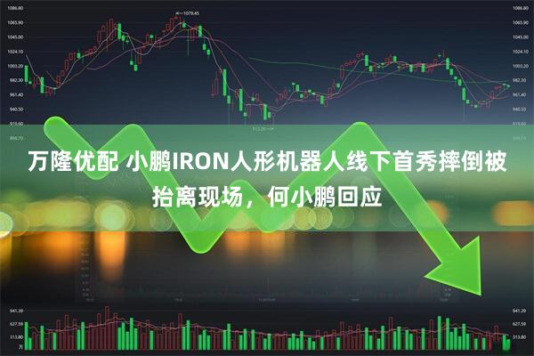 万隆优配 小鹏IRON人形机器人线下首秀摔倒被抬离现场，何小鹏回应